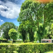 Aire de camping-car gratuite ou payante nichée dans un cadre verdoyant, camping-cars et caravanes garés
