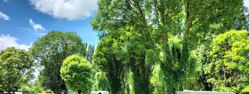 Aire de camping-car gratuite ou payante nichée dans un cadre verdoyant, camping-cars et caravanes garés