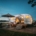 Veille hebdomadaire camping-car et vanlife - actualité de la semaine