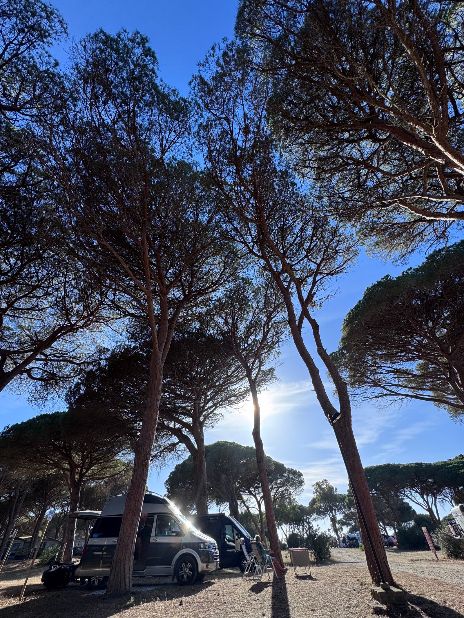 Van aménagé stationné sous les pins en Sardaigne
