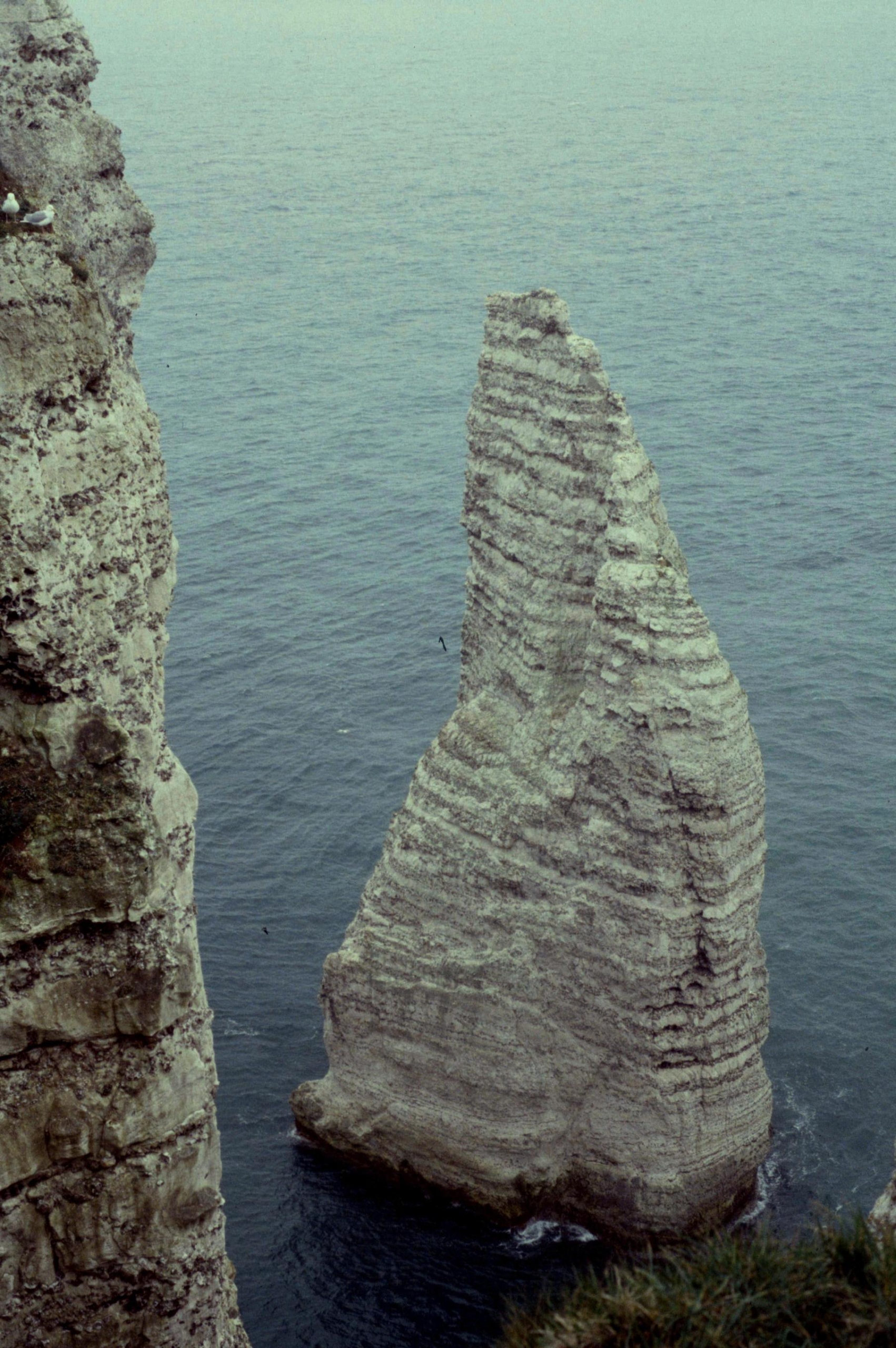 Falaise d'Aval et aiguille d'Étretat, point d'orgue d'un road-trip en camping-car en Normandie