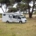 Camping-car profilé stationné sous des pins en été, veille camping-car et vanlife