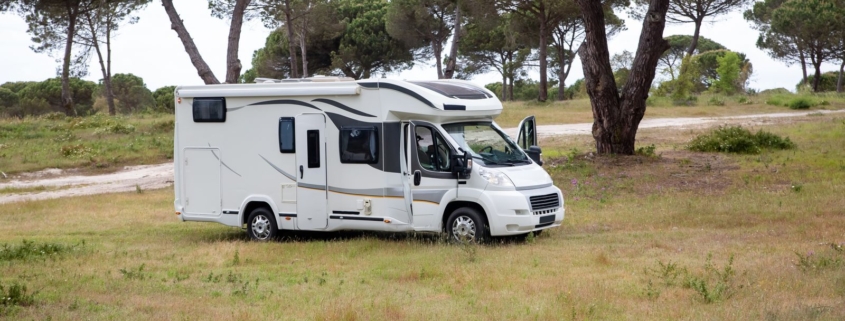 Camping-car profilé stationné sous des pins en été, veille camping-car et vanlife