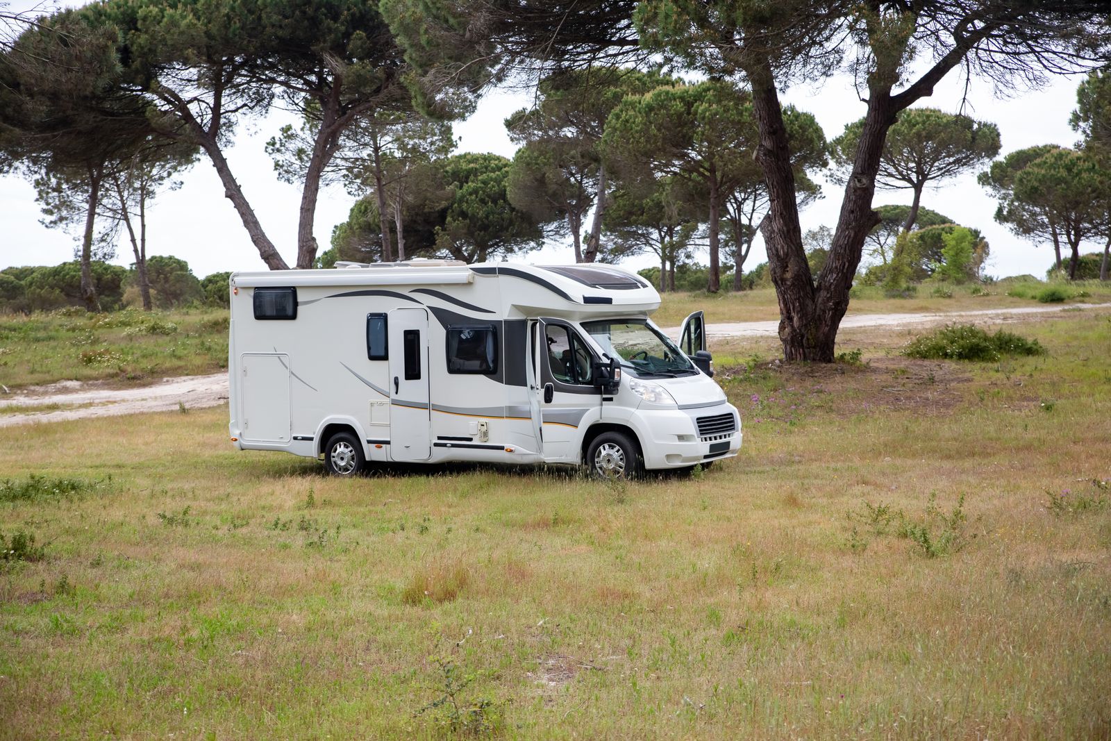 Camping-car profilé stationné sous des pins en été, illustration de la veille camping-car et vanlife