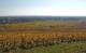 Vignoble en automne près de Beaune, étape phare pour un camping-car en Bourgogne