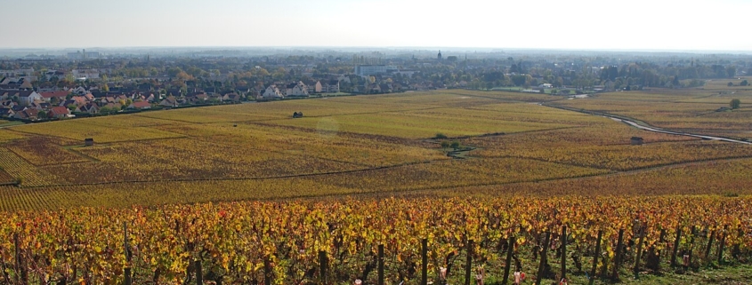 Vignoble en automne près de Beaune, étape phare pour un camping-car en Bourgogne