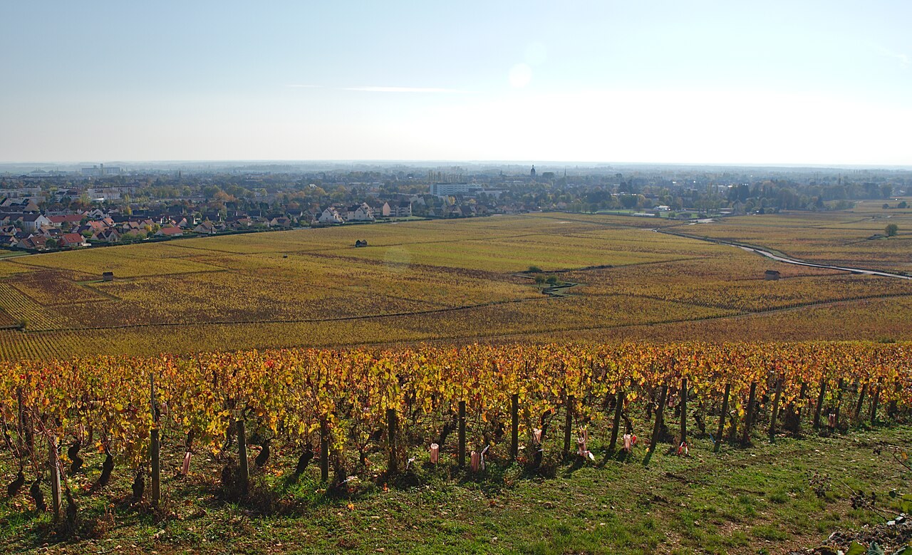 Vignoble en automne près de Beaune, étape phare pour un camping-car en Bourgogne